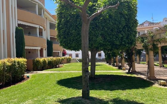 2 bedroom Apartment in Denia - AG152121 - Photo - 2