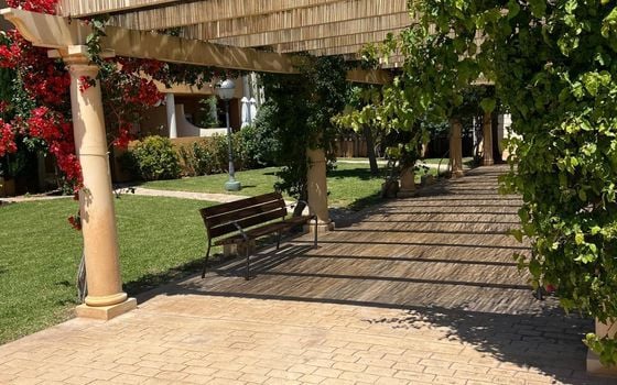 2 bedroom Apartment in Denia - AG152121 - Photo - Small - 27