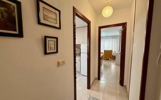 Appartement de 2 chambres à Torrevieja - AG152126 - Photo - Small - 18