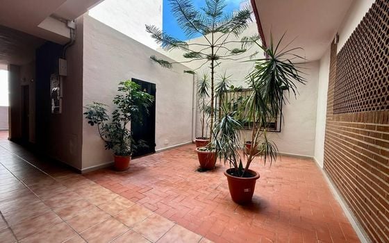 Appartement de 2 chambres à Torrevieja - AG152126 - Photo - Small - 25