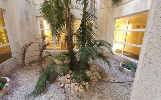 2 bedroom Apartment in Alicante - AG152161 - Photo - Small - 53