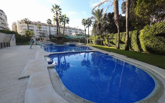 2 bedroom Apartment in Alicante - AG152161 - Photo - 3