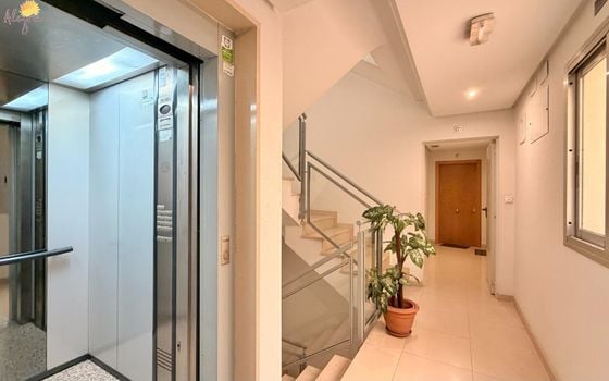 Appartement de 2 chambres à Torrevieja - AG152164 - Photo - Small - 20