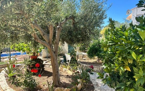 4 bedroom Villa in La Nucia - AG152232 - Photo - Small - 6