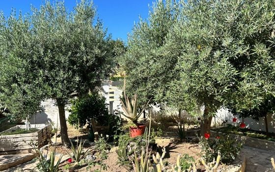4 bedroom Villa in La Nucia - AG152232 - Photo - Small - 51