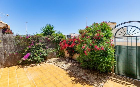Villa de 2 chambres à Orihuela Costa - AG152280 - Photo - 4
