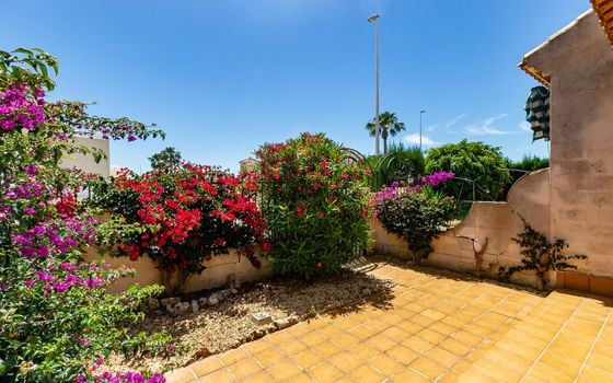 Villa de 2 chambres à Orihuela Costa - AG152280 - Photo - Small - 38