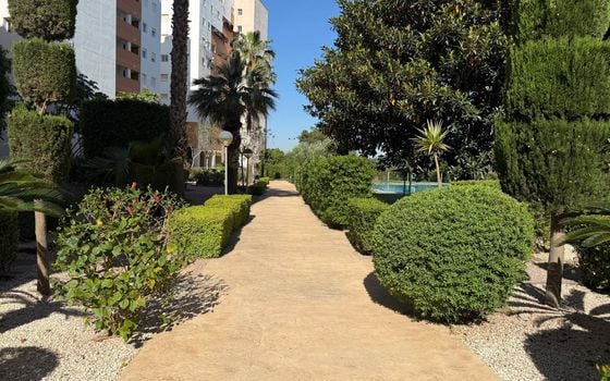 2 bedroom Apartment in Guardamar del Segura - AG152337 - Photo - Small - 33