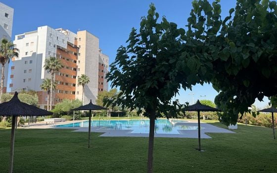 2 bedroom Apartment in Guardamar del Segura - AG152337 - Photo - Small - 35