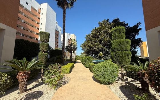 2 bedroom Apartment in Guardamar del Segura - AG152337 - Photo - 3