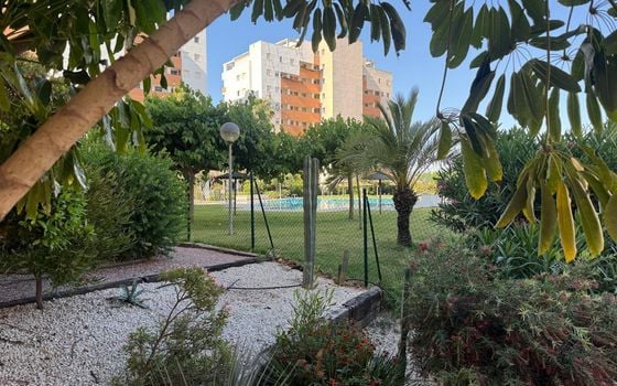 2 bedroom Apartment in Guardamar del Segura - AG152337 - Photo - Small - 34