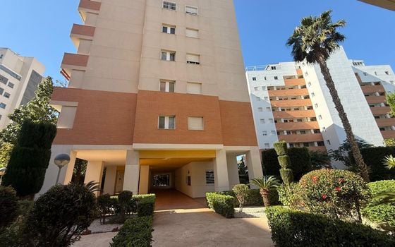 2 bedroom Apartment in Guardamar del Segura - AG152337 - Photo - 2