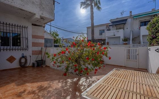 Appartement de 3 chambres à Torrevieja - AG152535 - Photo - 2