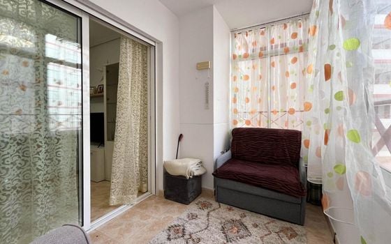 Appartement de 1 chambre à Torrevieja - AG152564 - Photo - Small - 15