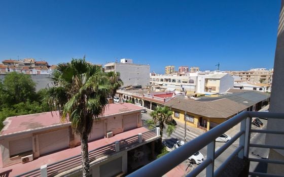 Appartement de 1 chambre à Torrevieja - AG152616 - Photo - Small - 16