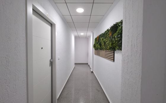 Appartement de 3 chambres à Torrevieja - AG152628 - Photo - Small - 24