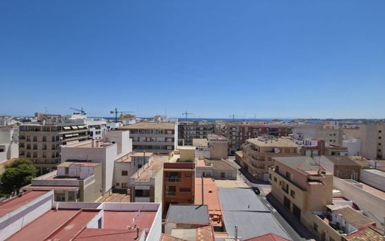 Appartement de 3 chambres à Torrevieja - AG152628 - Photo - Small - 29