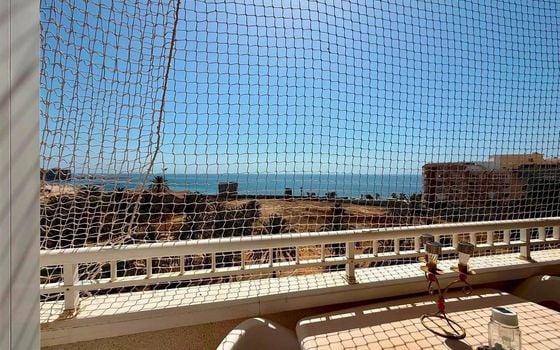 Appartement de 2 chambres à Torrevieja - AG152670 - Photo - Small - 13
