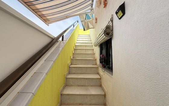 Bungalow de 2 chambres à Torrevieja - AG152686 - Photo - Small - 22