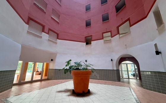 3 bedroom Apartment in Torrevieja - AG152706 - Photo - 5
