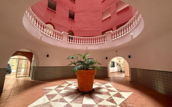 3 bedroom Apartment in Torrevieja - AG152706 - Photo - 4