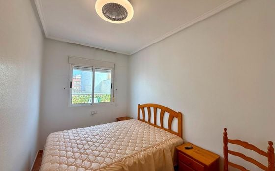 Penthouse de 3 chambres à Torrevieja - AG152713 - Photo - Small - 13