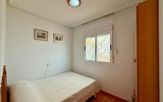 Penthouse de 3 chambres à Torrevieja - AG152713 - Photo - Small - 12