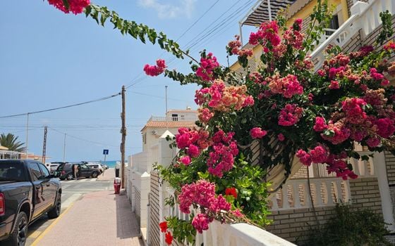 3 bedroom Townhouse in La Mata - AG152764 - Photo - Small - 29