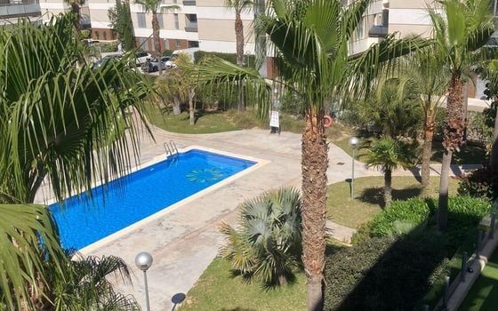 2 bedroom Apartment in Orihuela Costa - AG152774 - Photo - Small - 39