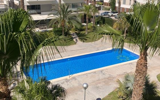 2 bedroom Apartment in Orihuela Costa - AG152774 - Photo - Small - 38
