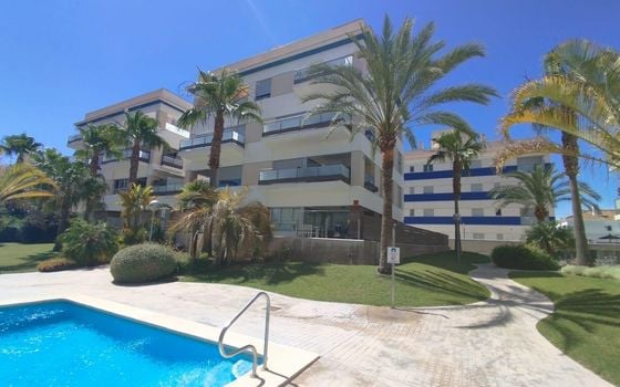 2 bedroom Apartment in Orihuela Costa - AG152774 - Photo - 2