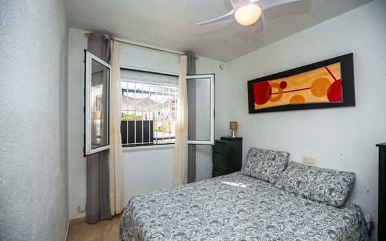 Bungalow de 1 chambre à Torrevieja - AG152843 - Photo - Small - 16