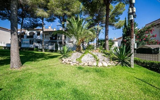 Bungalow de 1 chambre à Torrevieja - AG152843 - Photo - Small - 38