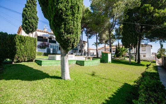Bungalow de 1 chambre à Torrevieja - AG152843 - Photo - 2