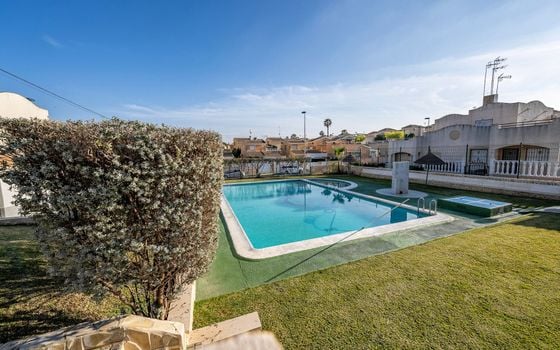 Bungalow de 1 chambre à Torrevieja - AG152843 - Photo - Small - 35