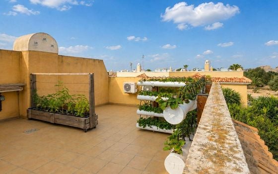 4 bedroom Townhouse in Rojales - AG152846 - Photo - Small - 24
