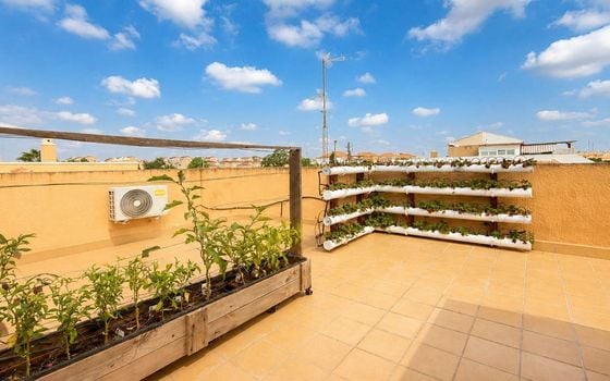 4 bedroom Townhouse in Rojales - AG152846 - Photo - Small - 25