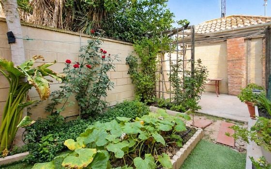 4 bedroom Townhouse in Rojales - AG152846 - Photo - Small - 31