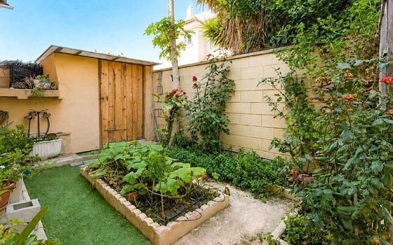 4 bedroom Townhouse in Rojales - AG152846 - Photo - Small - 30