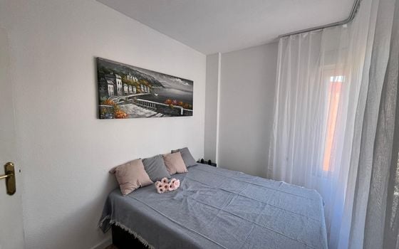 2 bedroom Apartment in Torrevieja - AG152855 - Photo - Small - 8