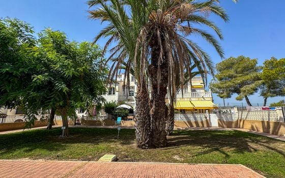 1 bedroom Bungalow in San Miguel de Salinas - RCJ152928 - Photo - Small - 13