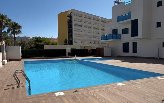 Appartement de 2 chambres à Torrevieja - SV152933 - Photo - Small - 19