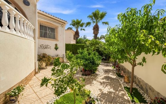 3 bedroom Villa in Ciudad Quesada - EE153087 - Photo - Small - 37