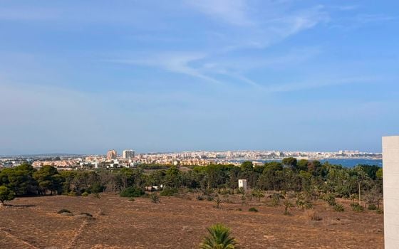 2 bedroom Apartment in Punta Prima - LR153123 - Photo - Small - 19
