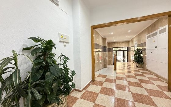 2 bedroom Apartment in Torrevieja - AG153215 - Photo - Small - 25