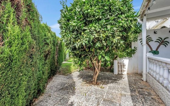 Villa de 2 chambres à Playa Flamenca - AG153217 - Photo - Small - 27