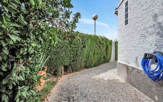 Villa de 2 chambres à Playa Flamenca - AG153217 - Photo - Small - 29