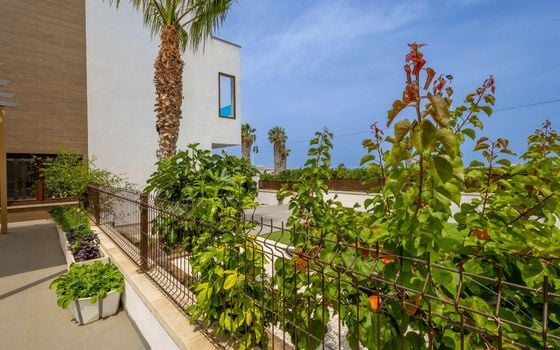 3 bedroom Villa in Torrevieja - AG153223 - Photo - Small - 33