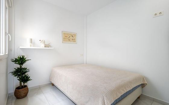 3 bedroom Villa in Torrevieja - AG153223 - Photo - Small - 19