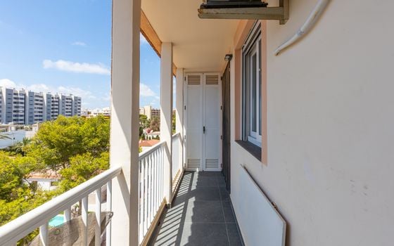 1 bedroom Penthouse in Torrevieja - B153251 - Photo - Small - 15